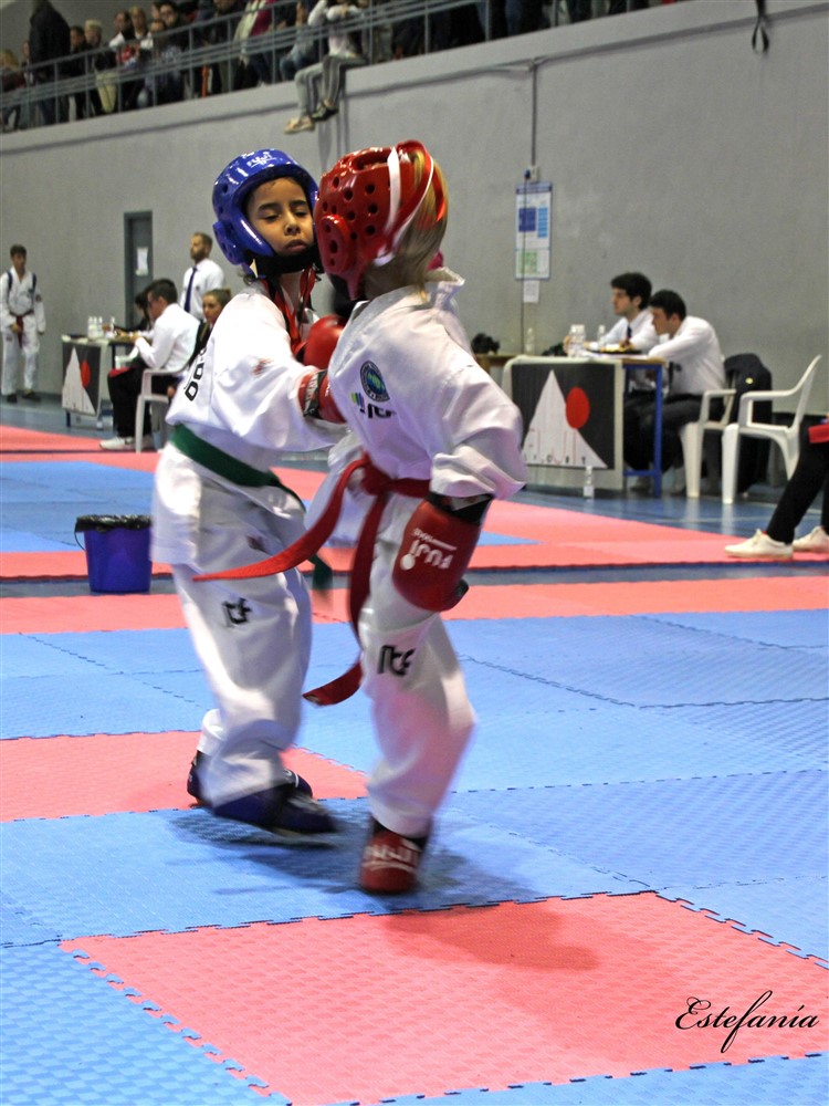 Copa Seul 2018 (477).jpg